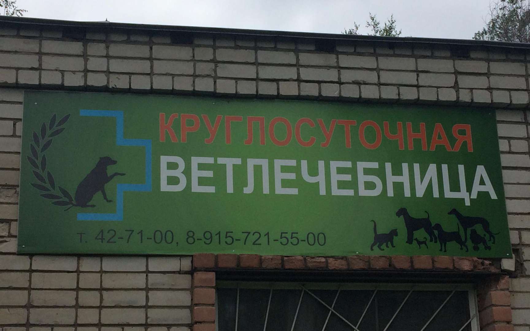 Ветеринарная тверь. Ветлечебница Тверь. Ветклиника на Виноградовой. Ветклиника на Виноградова Тверь. Ветеринарная клиника НИП.