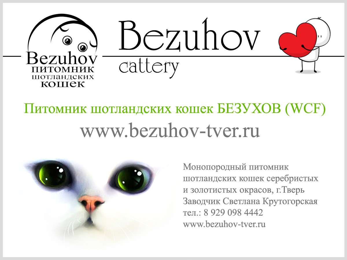 Проект питомник кошек